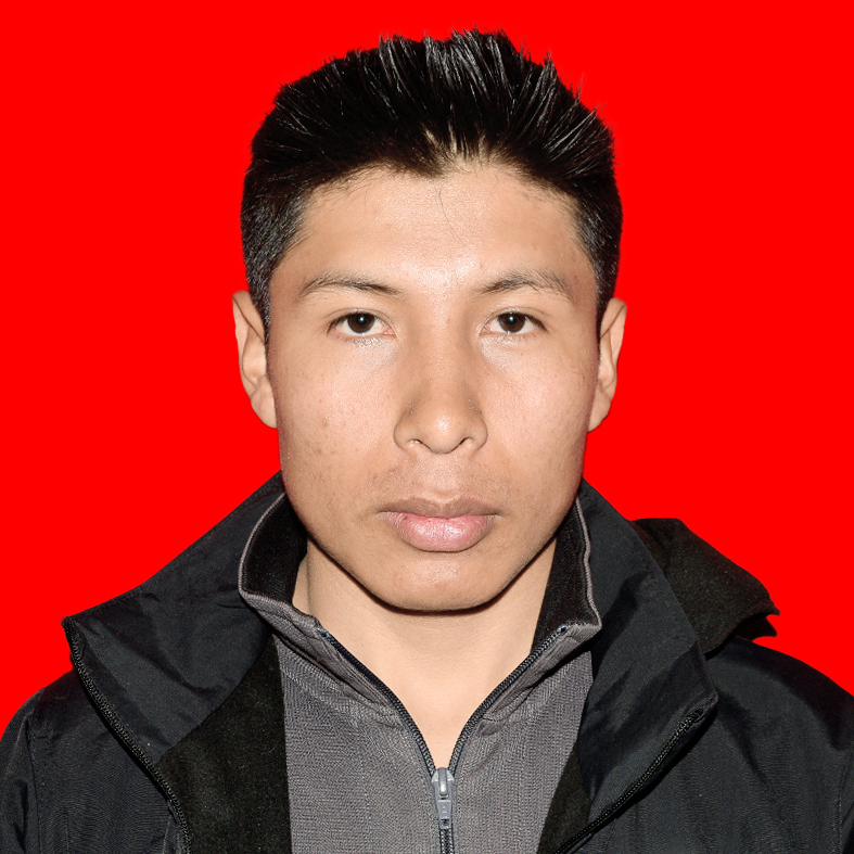 LUIS PABLO  MAMANI