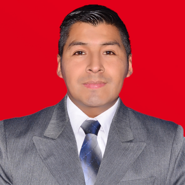 ALFREDO ERIC TICONA