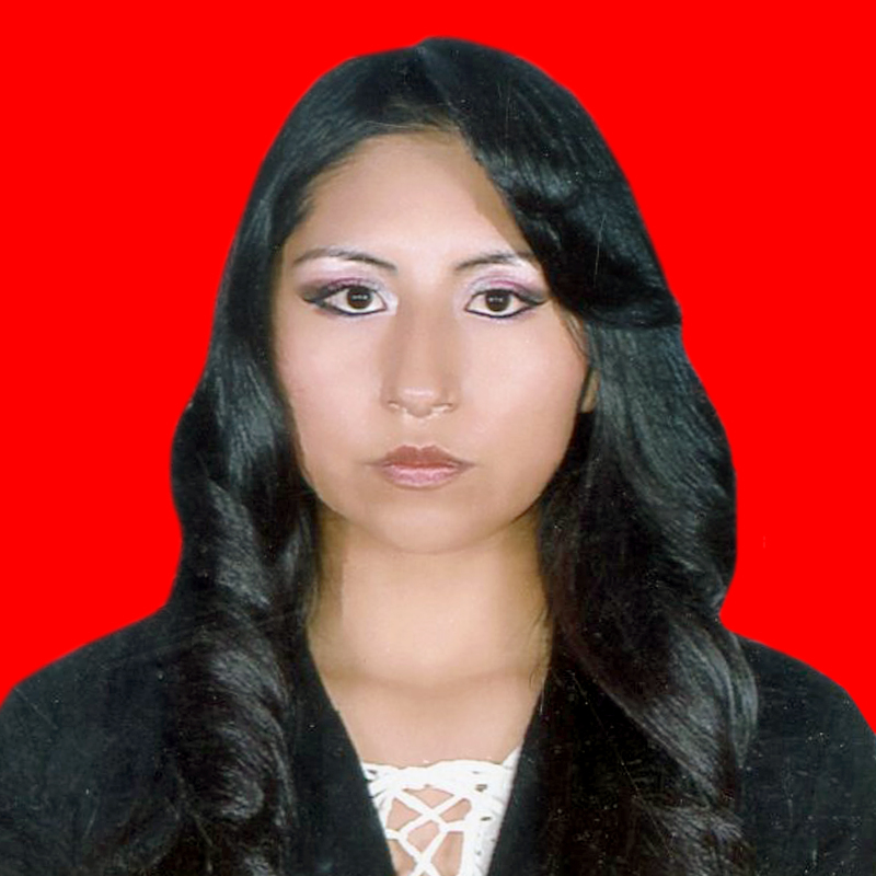 Guía