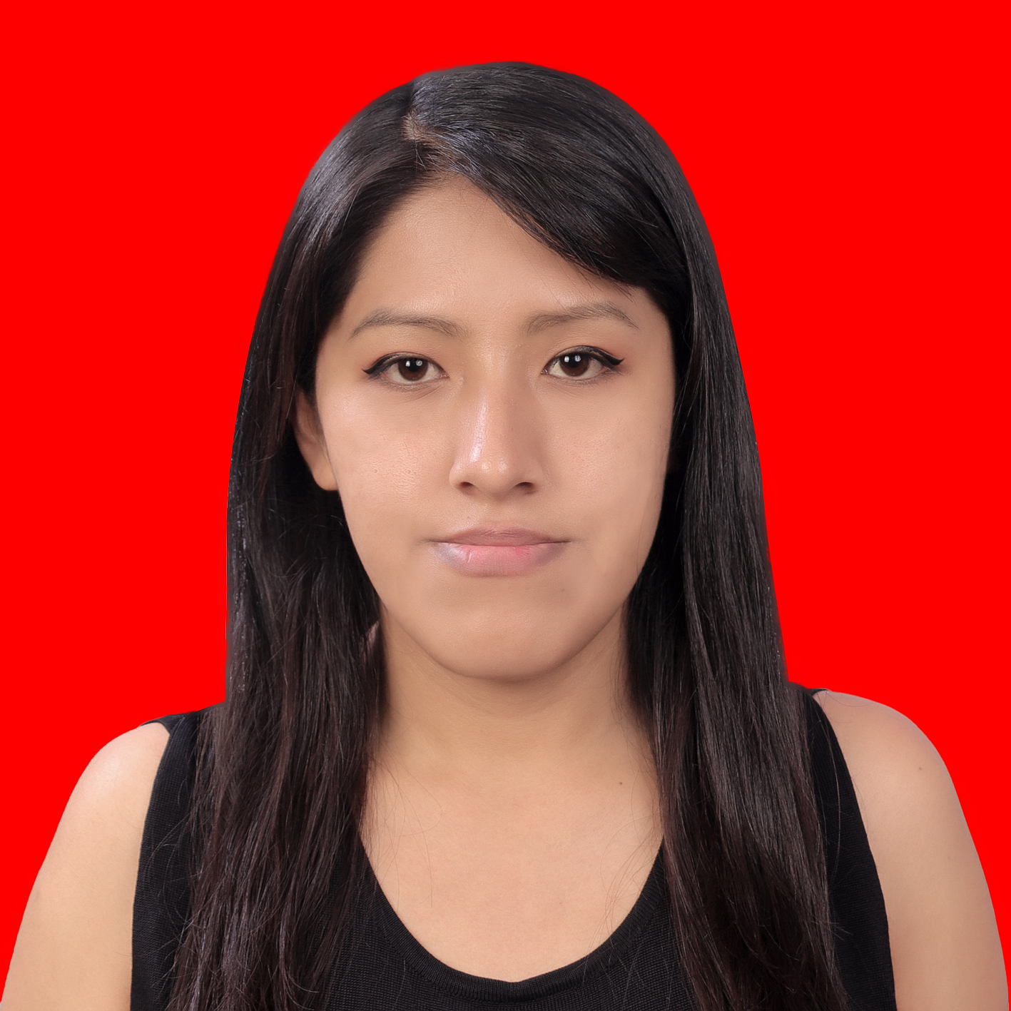 Guía