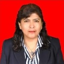 Guía