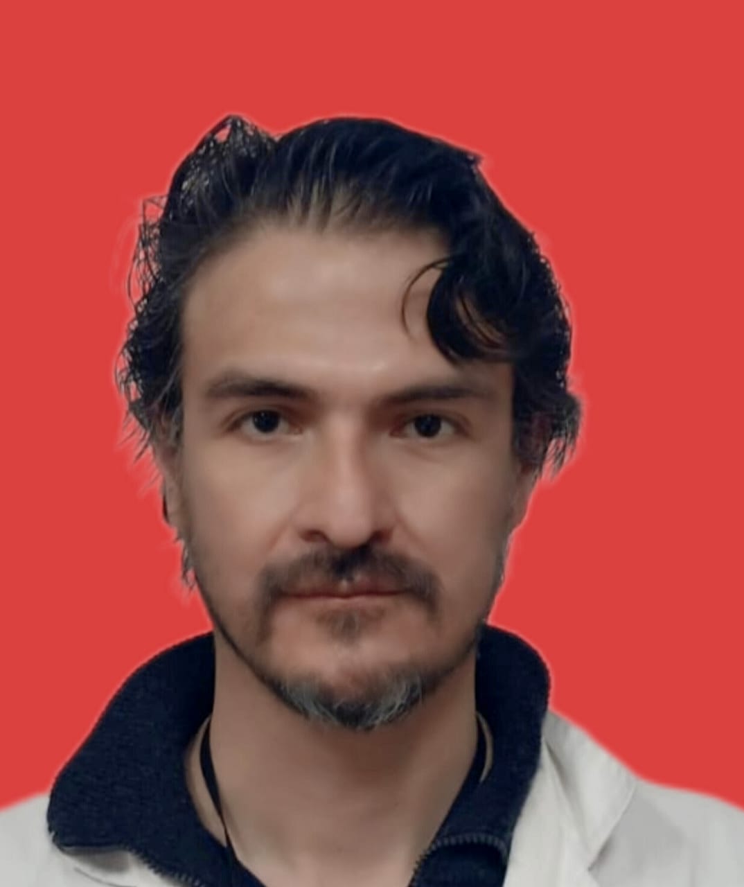 Guía