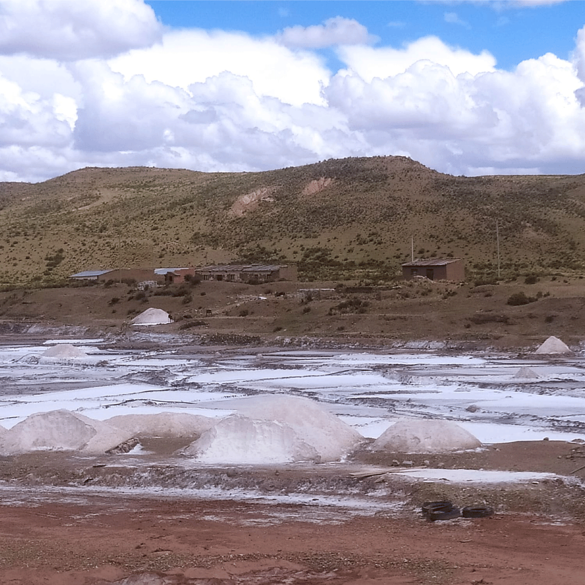 Imagen 2