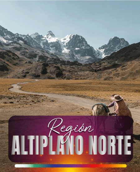 ALTIPLANO NORTE