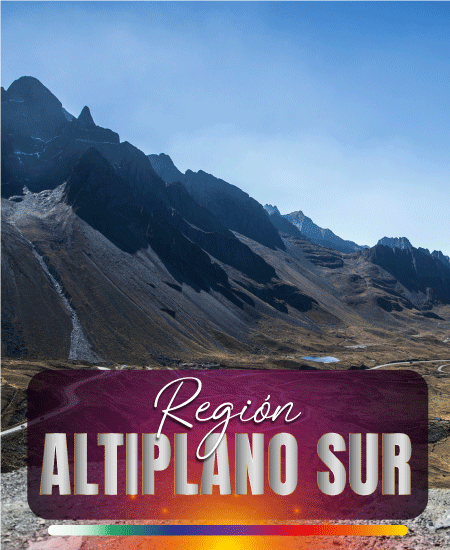 ALTIPLANO SUR